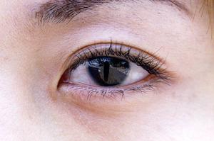 健康や美容にも優れた菌活の必要性