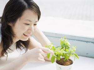 フコイダンの驚くべき健康効果と選び方ガイド！家族全員の健康を守るために知っておきたいポイント