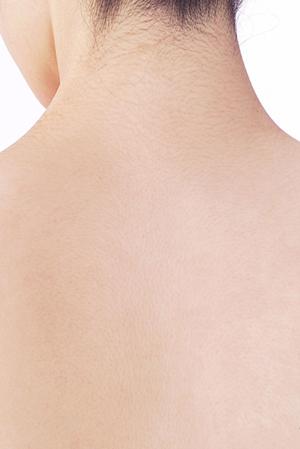 忙しいあなたにぴったり！明治の宅配サービスで手軽に家族の健康をサポートする方法