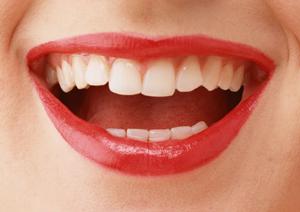 陀羅尼助（だらにすけ）が購入できます